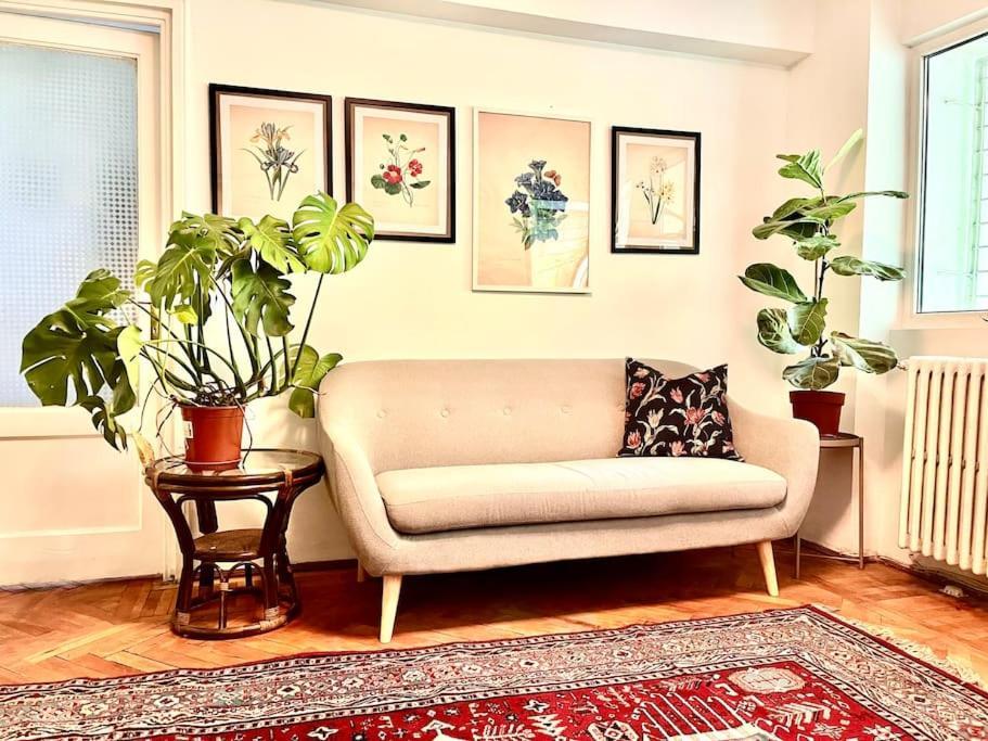 بوخارست Carpe Diem, Cismigiu Gardens المظهر الخارجي الصورة