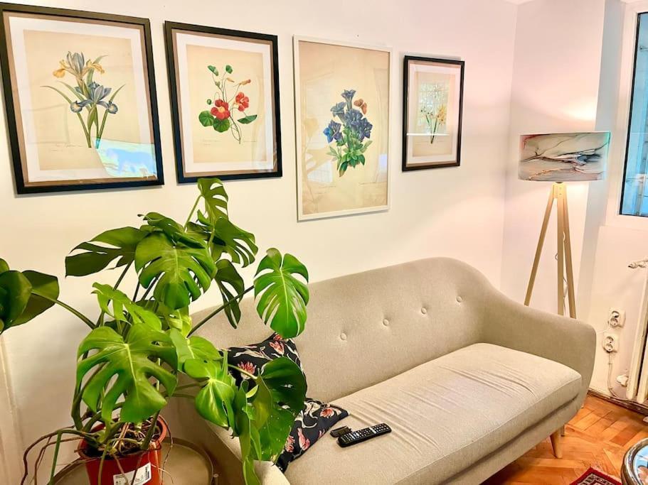 بوخارست Carpe Diem, Cismigiu Gardens المظهر الخارجي الصورة