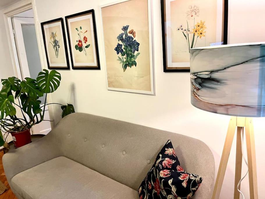 بوخارست Carpe Diem, Cismigiu Gardens المظهر الخارجي الصورة