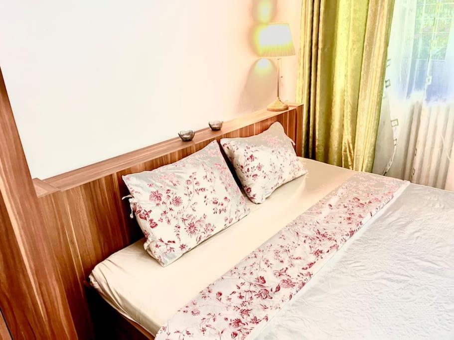 بوخارست Carpe Diem, Cismigiu Gardens المظهر الخارجي الصورة